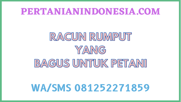 Racun Rumput Yang Bagus Untuk Petani